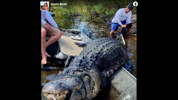 广义度量空间上的Kolmogorov-Chentsov型定理及其在banach值过程极限定理中的应用 广义度量空间上的Kolmogorov-Chentsov型定理及其在banach值过程极限定理中的应用