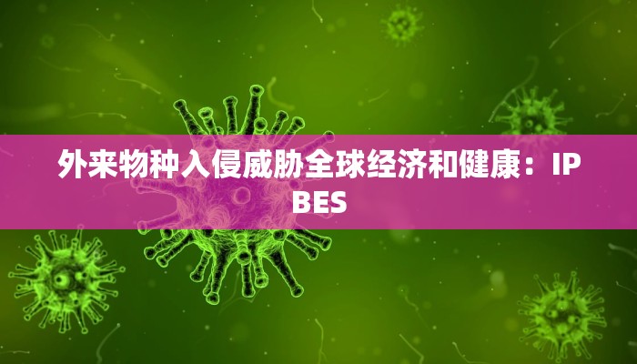 盘点攻略aapoker透视方法!(真的有挂)-知乎 盘点攻略aapoker透视方法!(真的有挂)-知乎