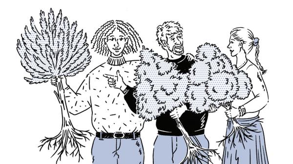 三分钟解答“新星游大厅怎么买房卡”获取房卡方式