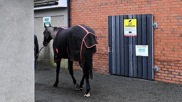 玩家必备牛牛链接房卡怎么弄-链接找谁买-