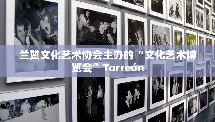 兰赞文化艺术协会主办的“文化艺术博览会”Torreón
