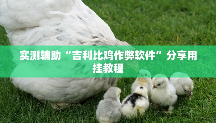 实测辅助“吉利比鸡作弊软件”分享用挂教程