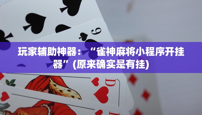 玩家新攻略AAPoker透视挂辅助器！真实开挂技巧分享