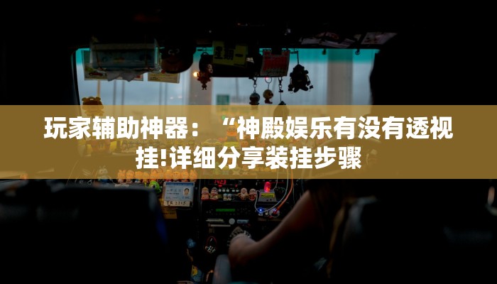 玩家辅助神器：“神殿娱乐有没有透视挂!详细分享装挂步骤
