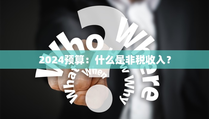 2024预算：什么是非税收入？