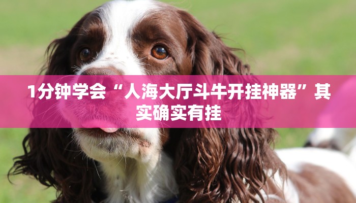 推荐一款“微信上炸金花房间有挂吗-链接教程- 推荐一款“微信上炸金花房间有挂吗-链接教程-