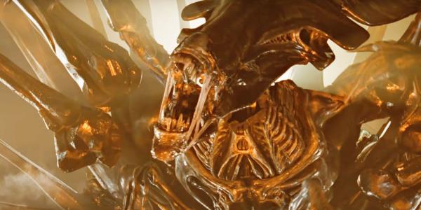 秒懂教程“新518互游牛牛金花房卡”官方渠道安全 秒懂教程“新518互游牛牛金花房卡”官方渠道安全