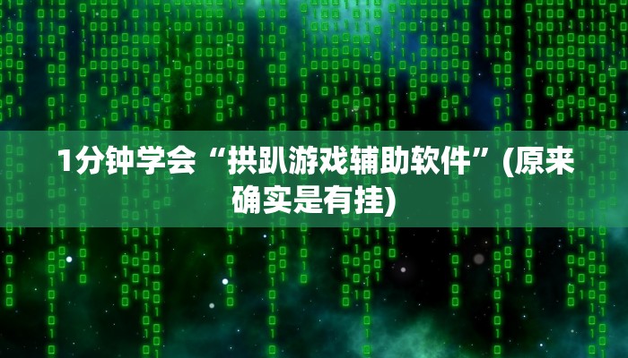 1分钟学会“拱趴游戏辅助软件”(原来确实是有挂)