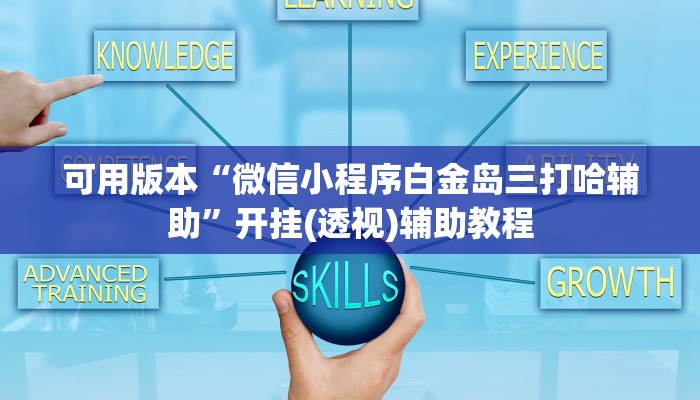 辅助神器！wepoker透视辅助插件！揭秘开挂内幕详情