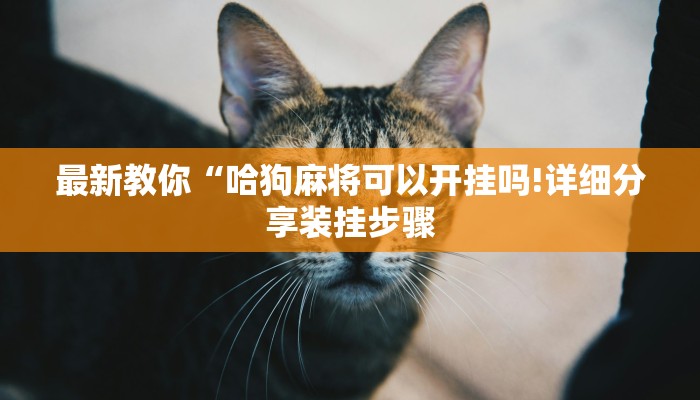 秒懂”炸金花的房卡在哪里买的-详细介绍房卡使用方式 秒懂”炸金花的房卡在哪里买的-详细介绍房卡使用方式