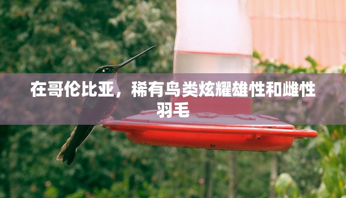 科普盘点“正版炸 金花房卡上哪购买”详细房卡怎么购买教程