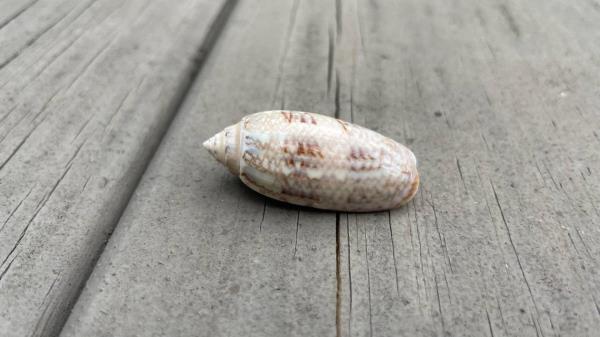 秒懂教程“炸金花好友房卡在哪里买”详细步骤 秒懂教程“炸金花好友房卡在哪里买”详细步骤