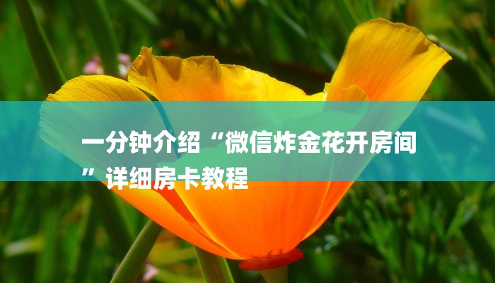 (2分钟教程)乐酷大厅牛牛房卡-(详细分享开挂教程)