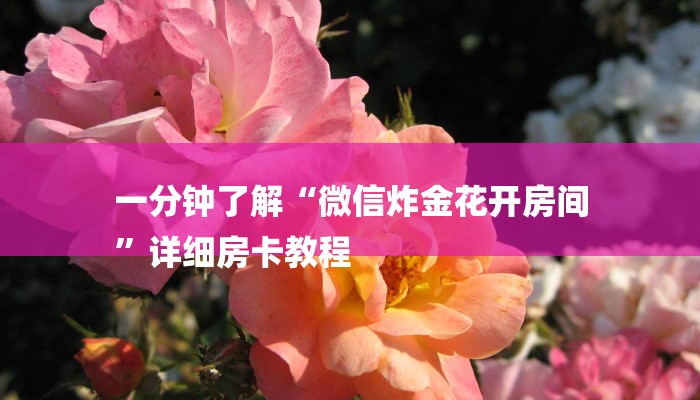 玩家必看“微信群里面炸金花房卡”房卡详细使用教程 玩家必看“微信群里面炸金花房卡”房卡详细使用教程