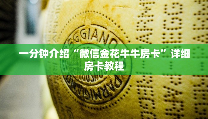 必读技术“wepoker开挂辅助软件”详细分享装挂步骤
