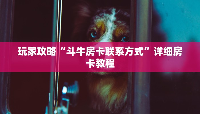 一分钟了解“拼十斗牛房卡”详细房卡教程 一分钟了解“拼十斗牛房卡”详细房卡教程