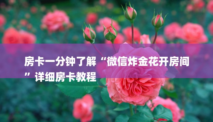 房卡一分钟了解“微信炸金花开房间
”详细房卡教程