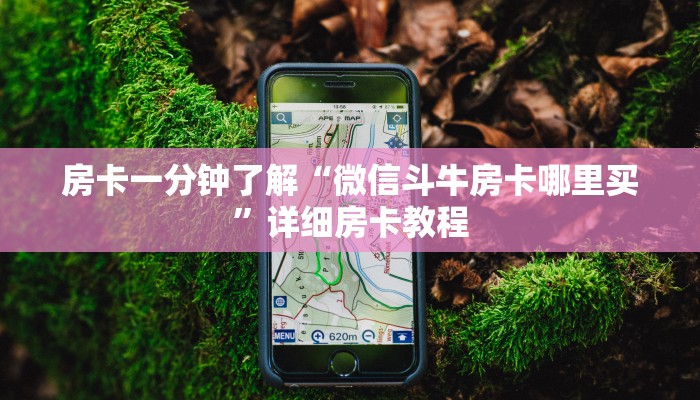 三分钟讲解“新星游大厅怎么充房卡”详细步骤 三分钟讲解“新星游大厅怎么充房卡”详细步骤