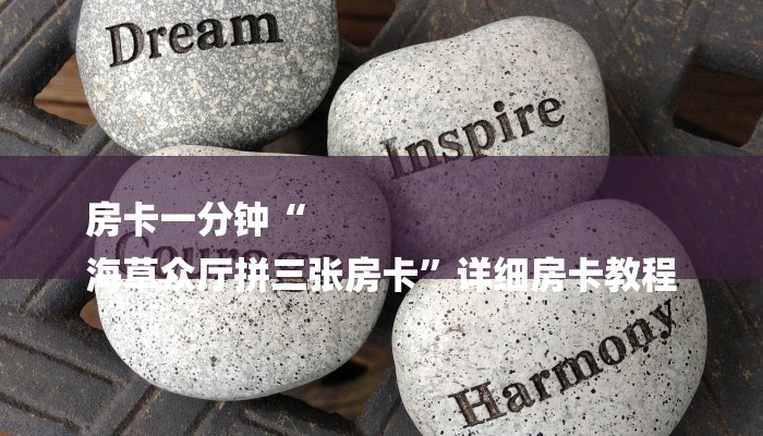 玩家新攻略wepoker透视辅助插件！辅助插件详情