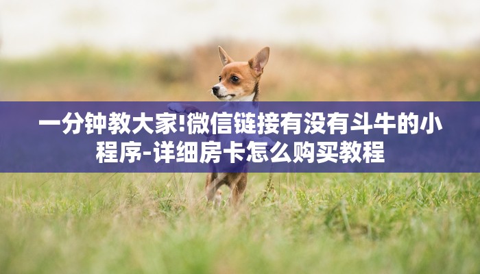 一分钟教大家!微信链接有没有斗牛的小程序-详细房卡怎么购买教程