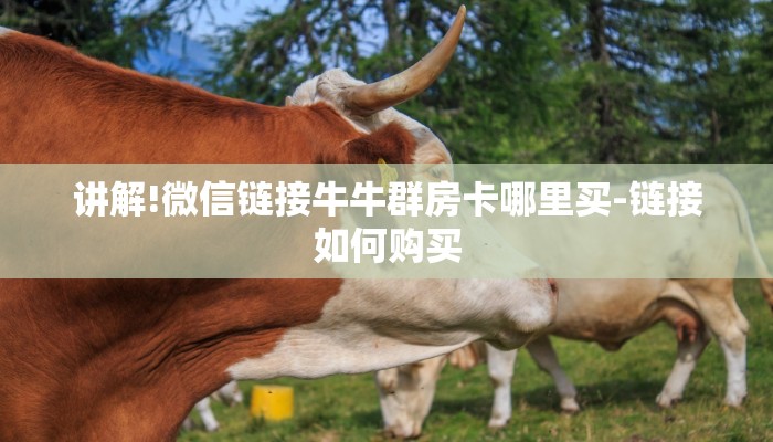 黑科技挂！wepoker透视辅助教程!原来有挂教程