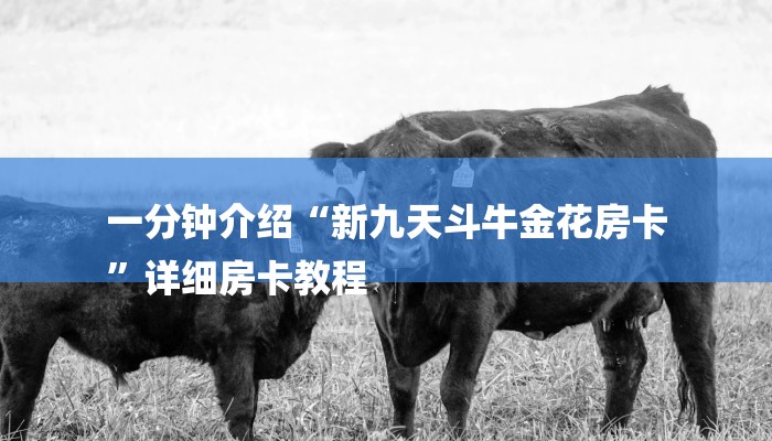 一分钟介绍“新九天斗牛金花房卡
”详细房卡教程 一分钟介绍“新九天斗牛金花房卡
”详细房卡教程