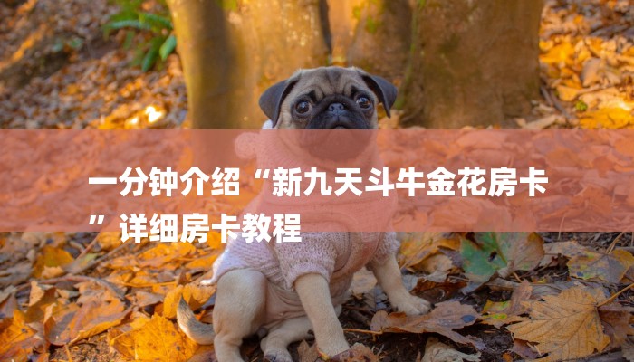 一分钟介绍“新九天斗牛金花房卡
”详细房卡教程 一分钟介绍“新九天斗牛金花房卡
”详细房卡教程