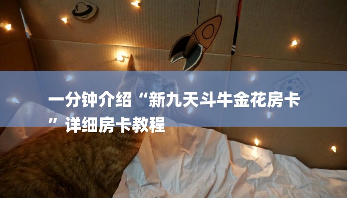 一分钟介绍“新九天斗牛金花房卡
”详细房卡教程 一分钟介绍“新九天斗牛金花房卡
”详细房卡教程