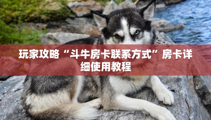 玩家攻略“斗牛房卡联系方式”房卡详细使用教程 玩家攻略“斗牛房卡联系方式”房卡详细使用教程
