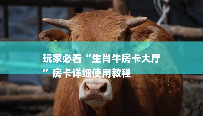 玩家必看“生肖牛房卡大厅
”房卡详细使用教程