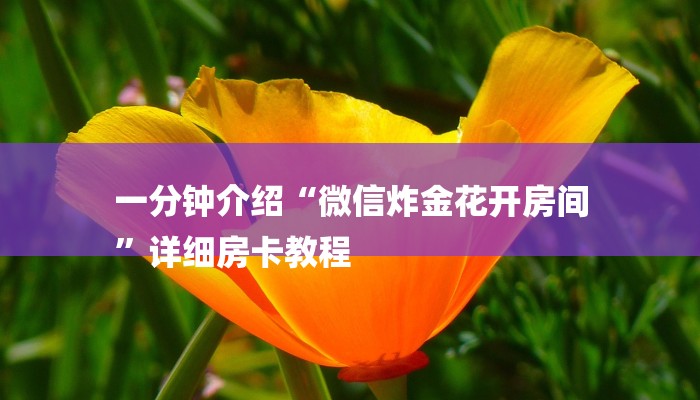 全渠道了解“微信房卡式炸金花代理”官方渠道安全 全渠道了解“微信房卡式炸金花代理”官方渠道安全
