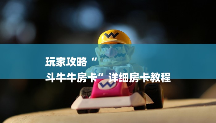 玩家攻略“
斗牛牛房卡”详细房卡教程