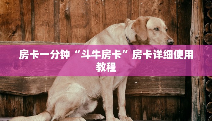 房卡一分钟“斗牛房卡”房卡详细使用教程 房卡一分钟“斗牛房卡”房卡详细使用教程