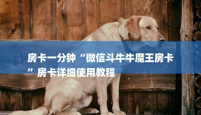 房卡一分钟“微信斗牛牛魔王房卡
”房卡详细使用教程 房卡一分钟“微信斗牛牛魔王房卡
”房卡详细使用教程