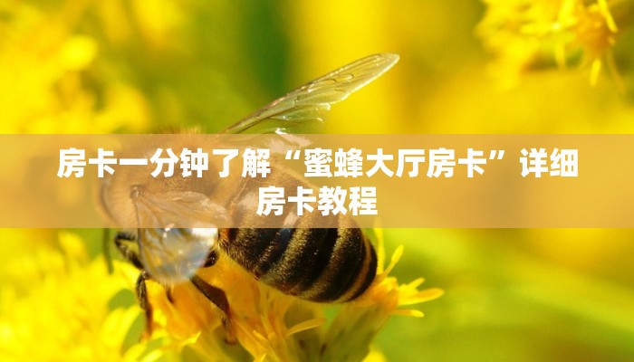 房卡一分钟了解“蜜蜂大厅房卡”详细房卡教程