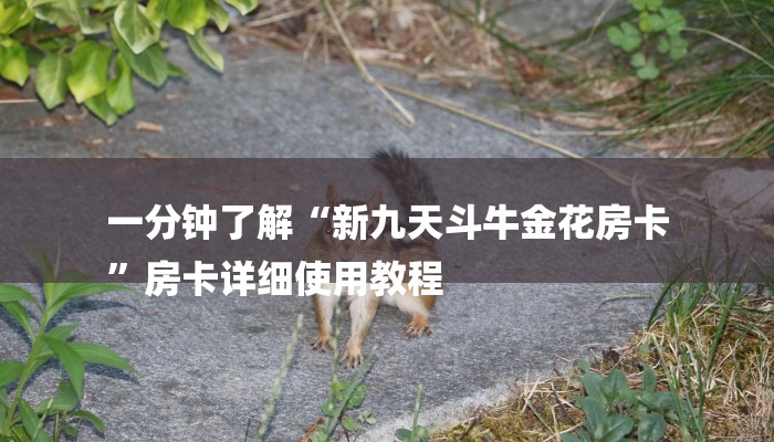 一分钟了解“新九天斗牛金花房卡
”房卡详细使用教程 一分钟了解“新九天斗牛金花房卡
”房卡详细使用教程