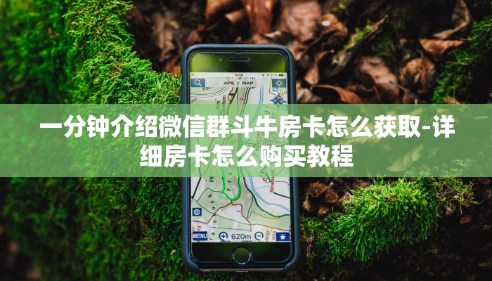 一分钟介绍微信群斗牛房卡怎么获取-详细房卡怎么购买教程