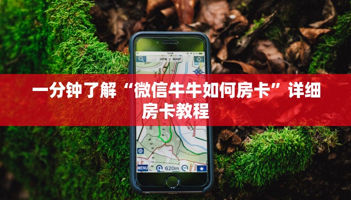 一分钟了解“微信牛牛如何房卡”详细房卡教程