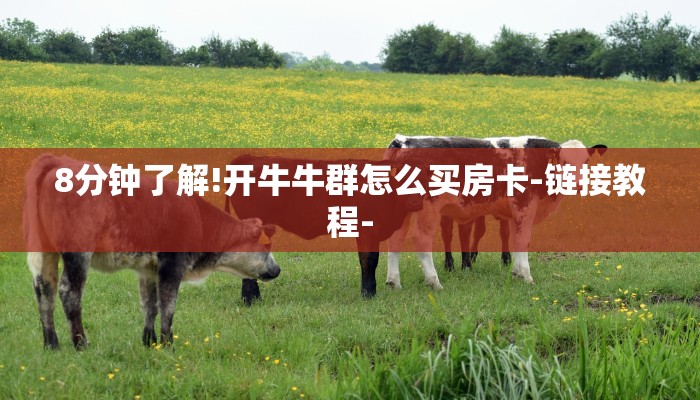 8分钟了解!开牛牛群怎么买房卡-链接教程-