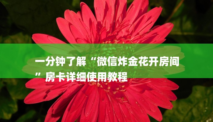 一分钟了解“微信炸金花开房间
”房卡详细使用教程