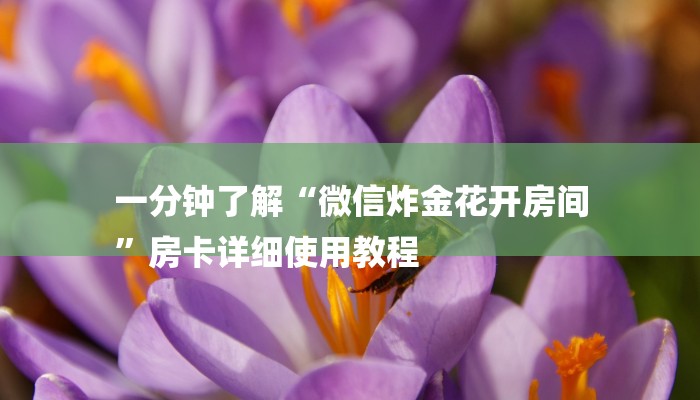 一分钟了解“微信炸金花开房间
”房卡详细使用教程