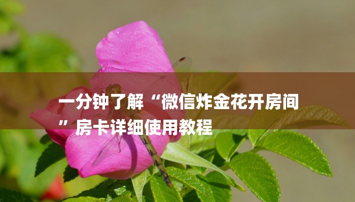 一分钟了解“微信炸金花开房间
”房卡详细使用教程