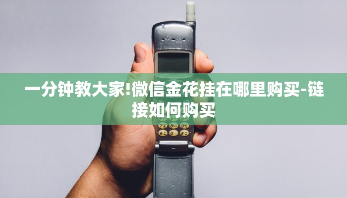 一分钟教大家!微信金花挂在哪里购买-链接如何购买