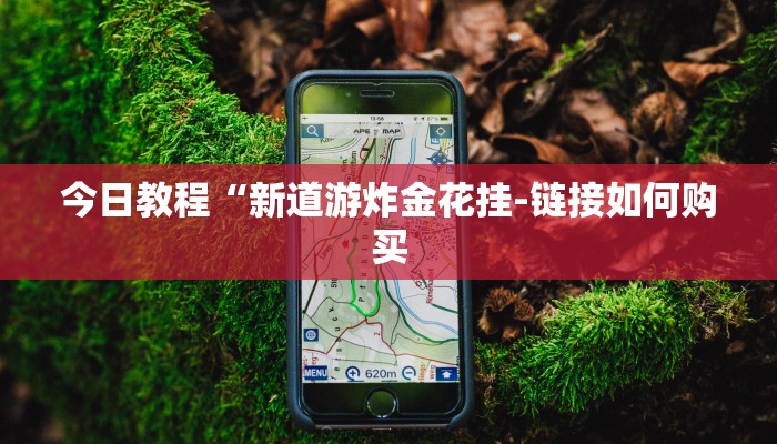 今日教程“新道游炸金花挂-链接如何购买