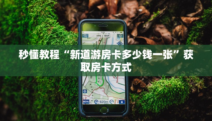 秒懂教程“新道游房卡多少钱一张”获取房卡方式