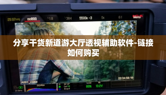 分享干货新道游大厅透视辅助软件-链接如何购买