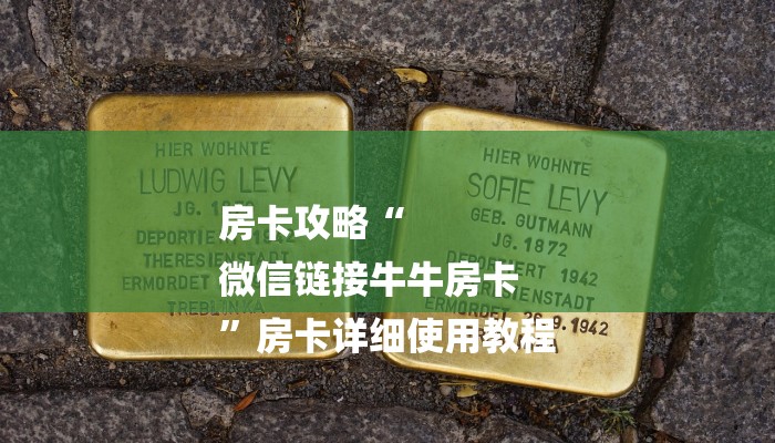 房卡攻略“
微信链接牛牛房卡
”房卡详细使用教程 房卡攻略“
微信链接牛牛房卡
”房卡详细使用教程