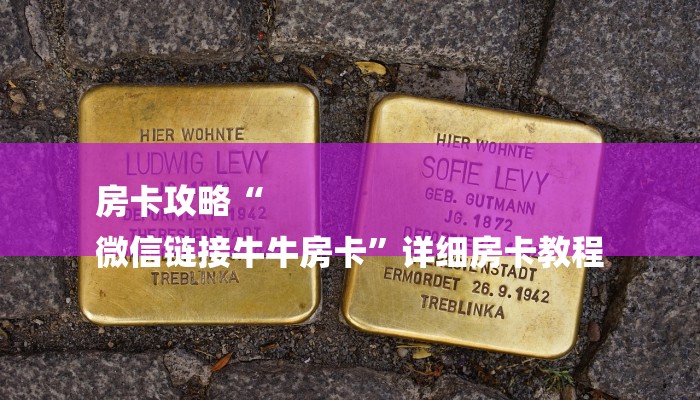 房卡攻略“
微信链接牛牛房卡”详细房卡教程