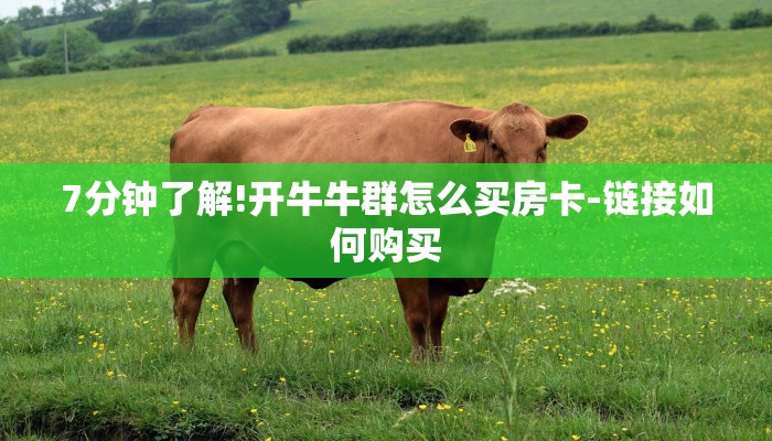 7分钟了解!开牛牛群怎么买房卡-链接如何购买