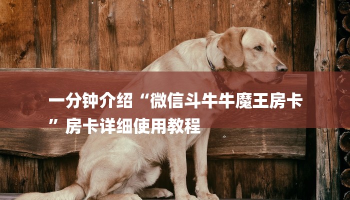 一分钟介绍“微信斗牛牛魔王房卡
”房卡详细使用教程